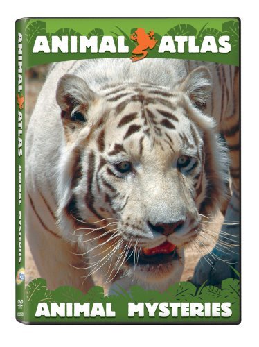 Animal Atlas: Animals and Us movie